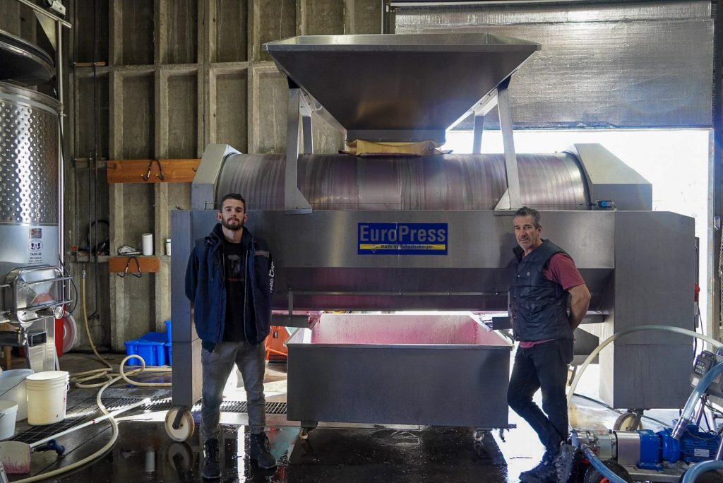 Pressing Grapes for Wine